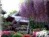 byodoin_1024.jpg