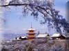 kiyomizu1_1024.jpg
