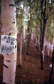 �������, ��� � �� �������� - �������!..