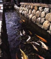 �� �� �������� - ����� ������ �������� ���� � ���, ������ � ���� �� �� ������!!!