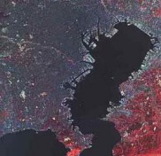 ���� 1: ��������� �����