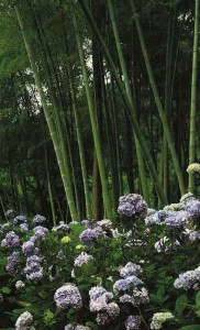 ������� �������